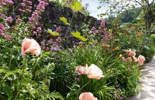 The Pack Horse Exmoor National Park Allerford Riverside Cottage & Apartments - Photo 29