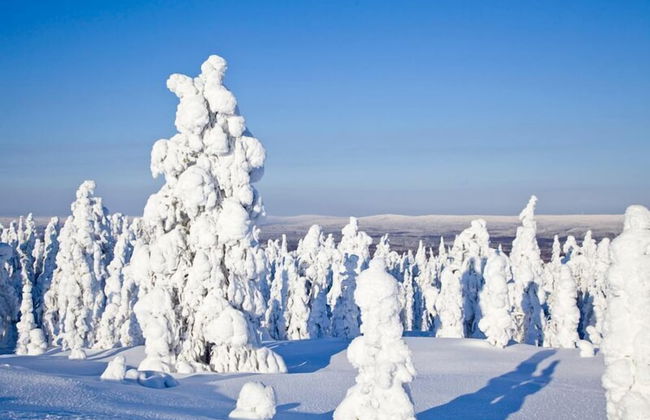 RovaVisit Center - Photo 21