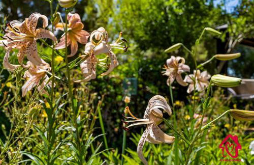 The Rose Garden Estate with Swim Spa - an Irvie Home - Foto 62