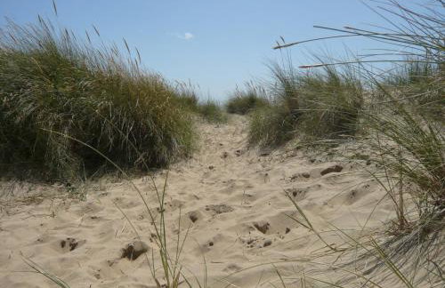 Spacious Cottage With Sauna Looking out on Astonishing Grasslands - Photo 66