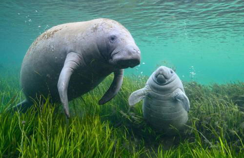 227-WIFI, New Paint, AMAZING Views, Close to BUCS stadium - Foto 42