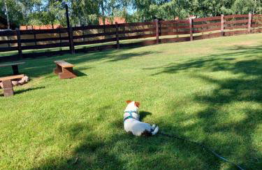 Domek nad Krutynią - Foto 24