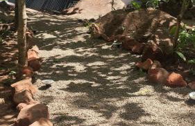 Cabana Quintal - Foto 9