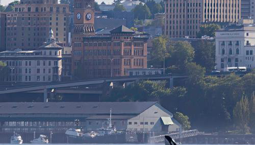 Old Tacoma Victorian Charm with water views - Foto 2