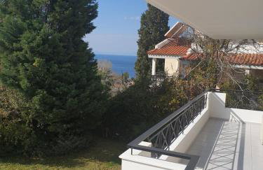 Villa Leonidas - Foto 10