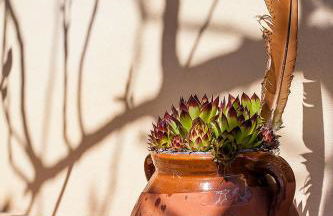 Villa Carmen - Foto 62