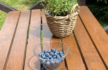 Lawendowy Domek TP - Foto 9