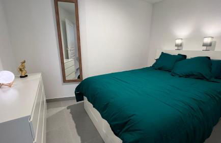 Appartement T2 40 M2 cosy RDC plein centre ville - Foto 19