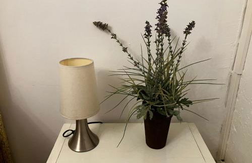 Gîte des Lavandes - Foto 19