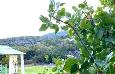 Eudaimonia Wooden Suites Nafplio Kandia - Foto 33