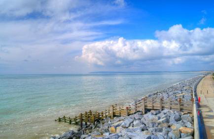 The Surf Shack - Photo 18