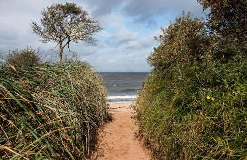 Little Archer - Photo 16