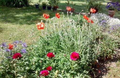 Herberge im "alten Pfarrhaus" in Schmergow am Havel-Radweg - Foto 17