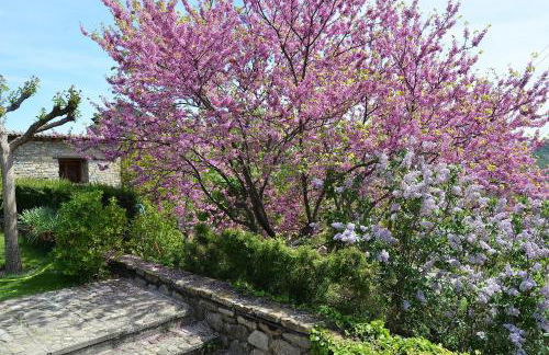 Casa Rural La Era - Photo 40