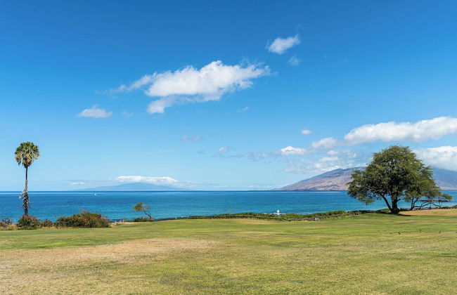 Pacific Shores - Photo 25