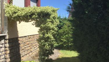 Ferienhaus Klasen - Foto 4