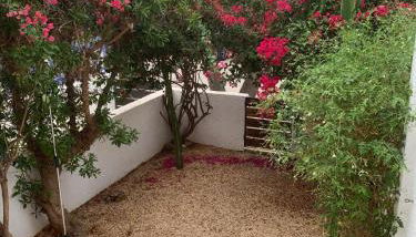 Casa Gata - Foto 2, Garden