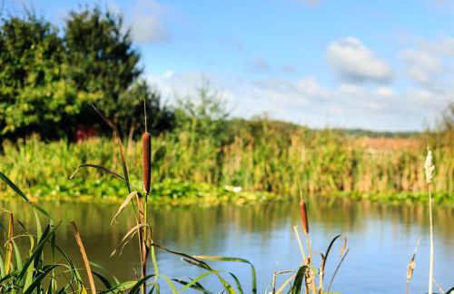 The Retreat, Clematis cottages, Stamford - Foto 19