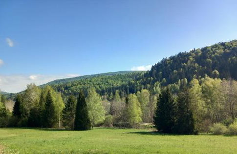 Chata pod Jelenim Skokiem - Foto 22