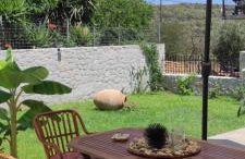 Το Πατρικό - To Patriko Epidavros - Photo 7