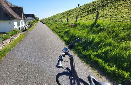 Friesenperle - Foto 17