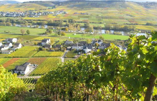 Hotel Moselsteig - Foto 55