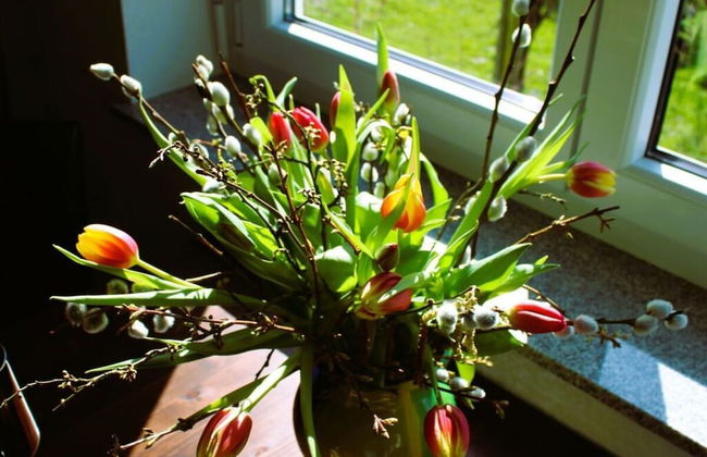 Holiday Apartment Chapel - Foto 10