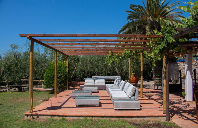 Azienda Agricola Sapereta - Foto 29