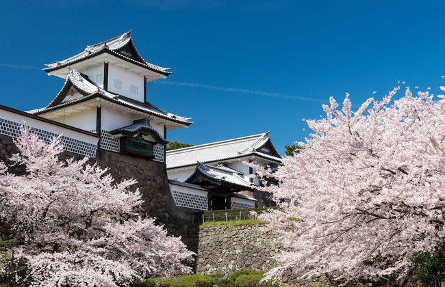 Zaimoku-an - Foto 38