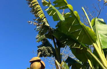 Casa Milladoiro - Foto 27