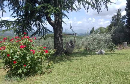 Terrazza sul Chianti - Photo 32