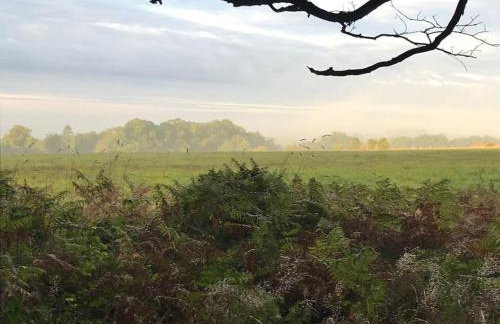 The Apple Press - Sweethay - Foto 47