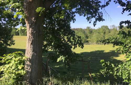 Kleine Backsteinloft - Photo 38