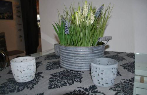 Sonniges Appartement am Tegernsee - Foto 12