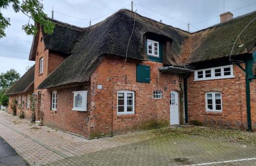 Reetglück - Foto 12