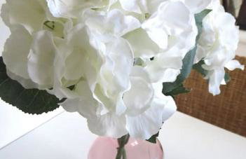 Rosebury Cottage 1 bedroom Free Street parking-5min from Colmar - Photo 21