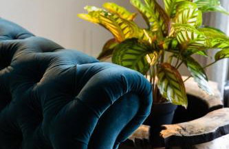 Grange Bridge Cottage - Foto 32