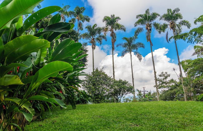 Aldea Sabatinga - Foto 68