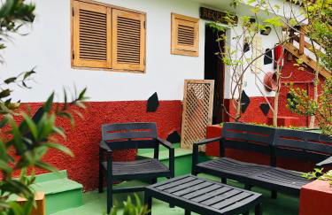 Los Viejitos en Firgas - Foto 29