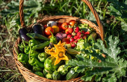 Masseria Torre Ruggeri - Foto 49