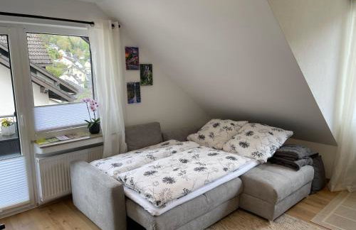 Fewo Burg,Mosel,Tal-Blick - Foto 22