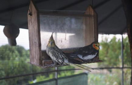 Casa Robusto - Foto 30