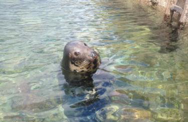 Headlands, Maidencombe - Foto 11