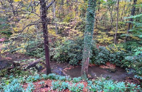 Bern's Summit Solitude: Stream-Front Serenity - Photo 21