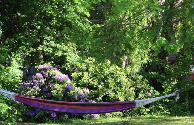 1 in the Maassen Country House - Foto 31