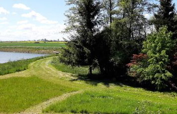 Orzechowy Dworek - Foto 23