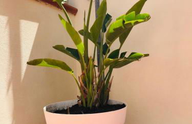 Lavica Di Mezzo Apartments - Foto 31