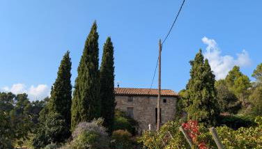 Celler Colltor - Foto 2, Garden