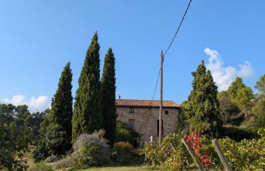 Celler Colltor - Foto 2