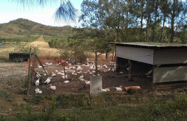 La Petite Ferme - Foto 8